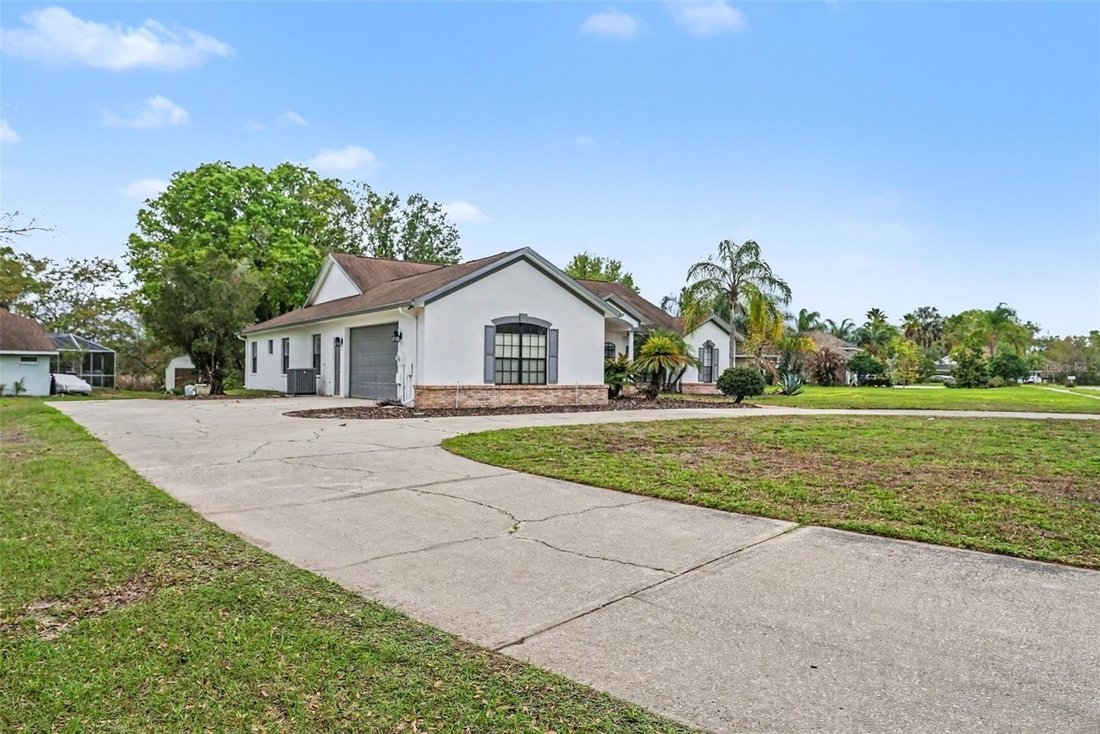 House in Lutz, Florida, United States 3 - 17417292
