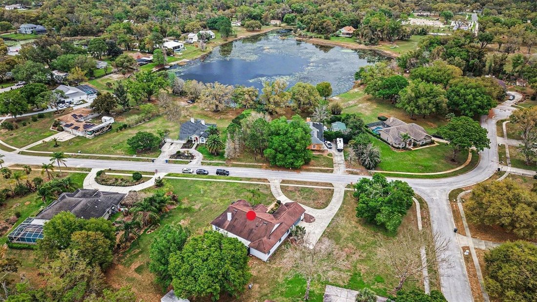 House in Lutz, Florida, United States 5 - 17417292