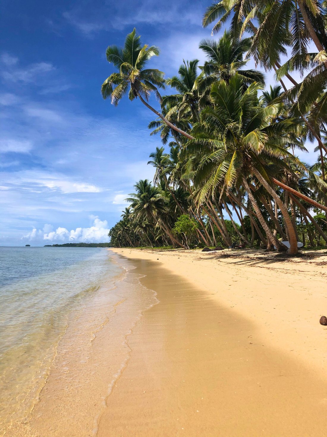 House in Tacilevu, Northern Division, Fiji 1 - 17421460