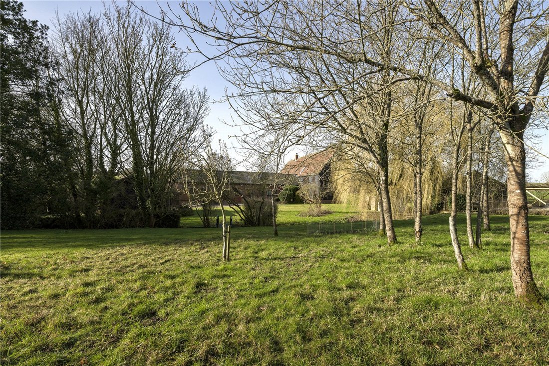 House in Suffolk, England 5 - 17413952