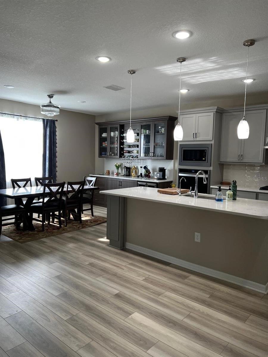 House in Land O' Lakes, Florida, United States 4 - 17410874