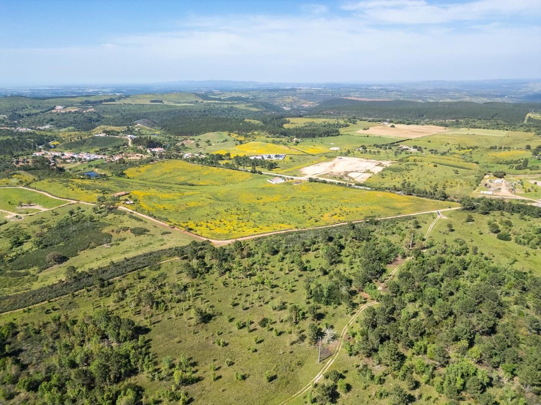 Land in S.Teotónio, Beja District, Portugal 5 - 17414417