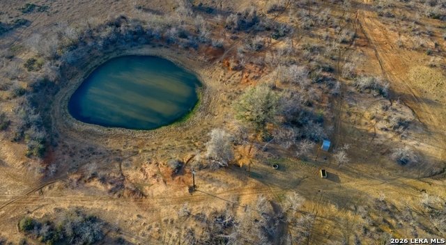 Farm Ranch in Leesville, Texas, United States 1 - 17416959