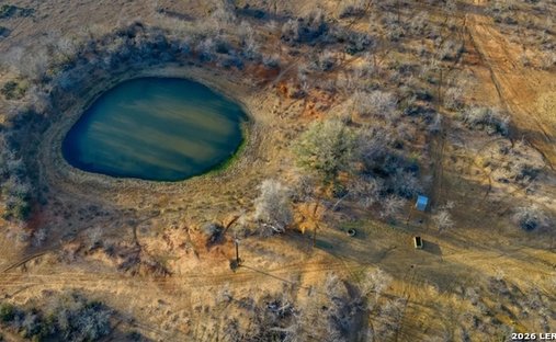 Farm Ranch in Leesville, Texas, United States 1