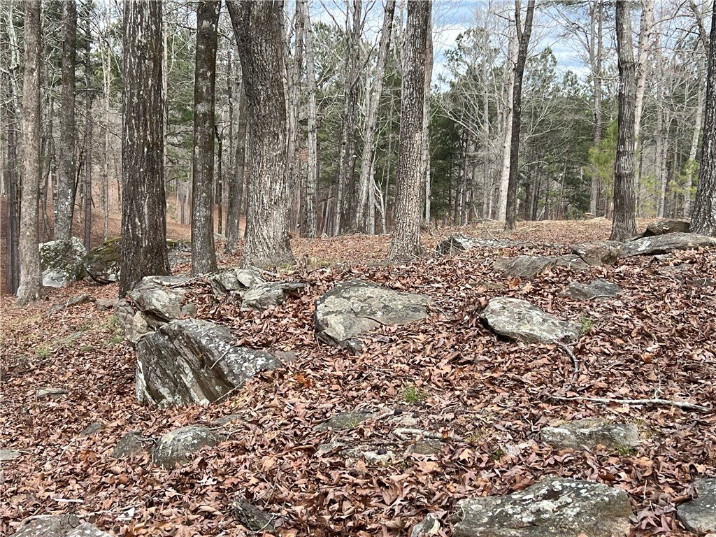 Land in Phenix City, Alabama, United States 1 - 17410996