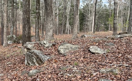Land in Phenix City, Alabama, United States 1