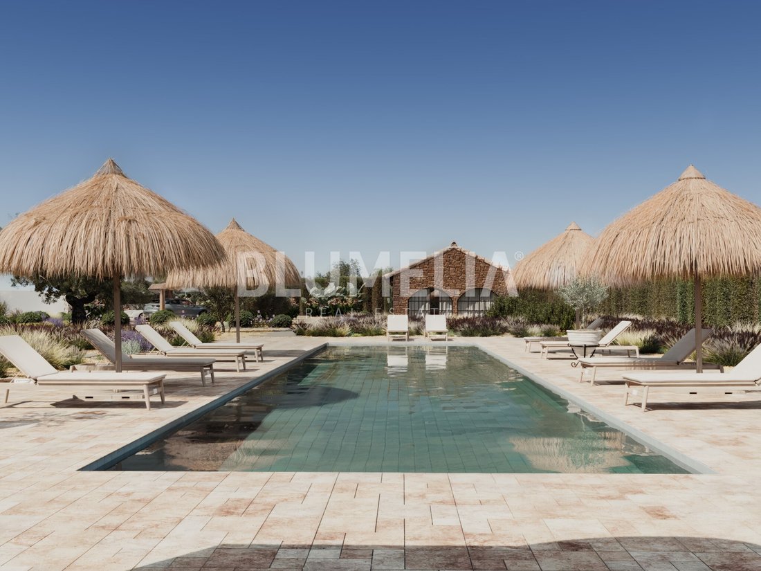 Finca in Xabia / Javea, Valencian Community, Spain 4 - 17408783