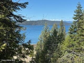 House in Coolin, Idaho, United States 5 - 17409643