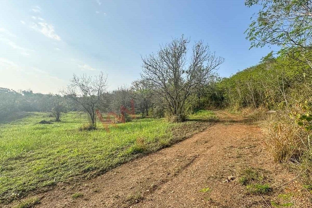 Land in Ciudad de Allende, Nuevo Leon, Mexico 4 - 17411134