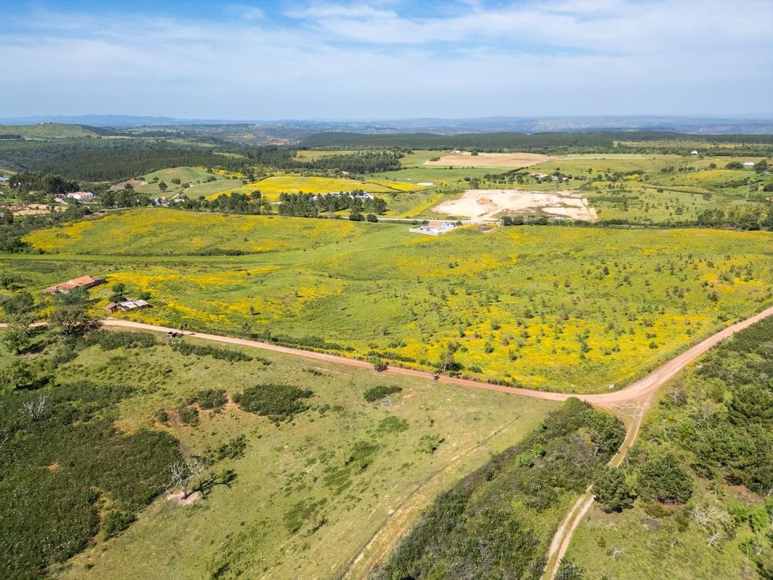 Land in S.Teotónio, Beja District, Portugal 4 - 17414417
