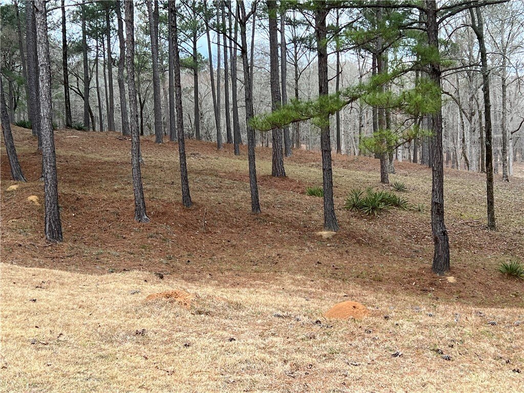 Land in Phenix City, Alabama, United States 5 - 17410996
