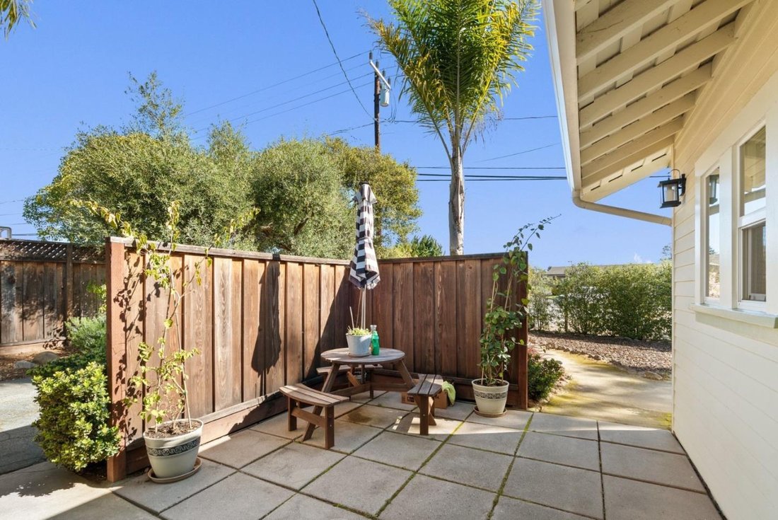 Santa Cruz, California, United States 5 - 17413840