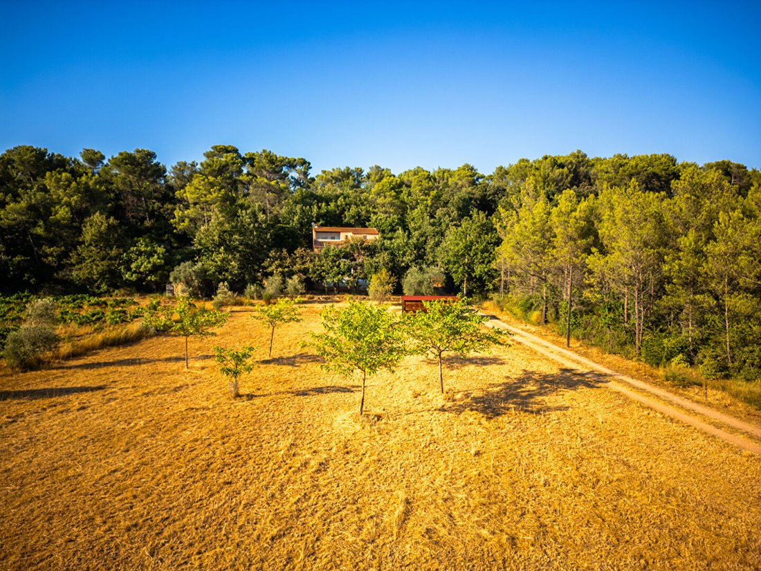 Villa in La Roquebrussanne, Provence-Alpes-Côte d'Azur, France 4 - 17414291