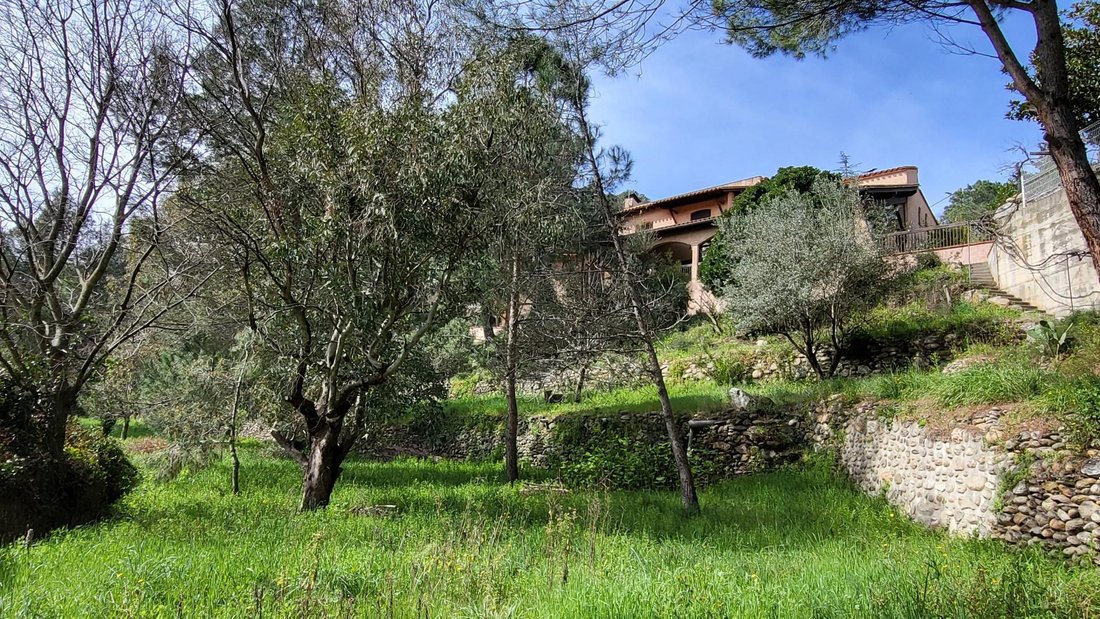 House in Saint-Jean-Pla-de-Corts, Occitania, France 5 - 17409342
