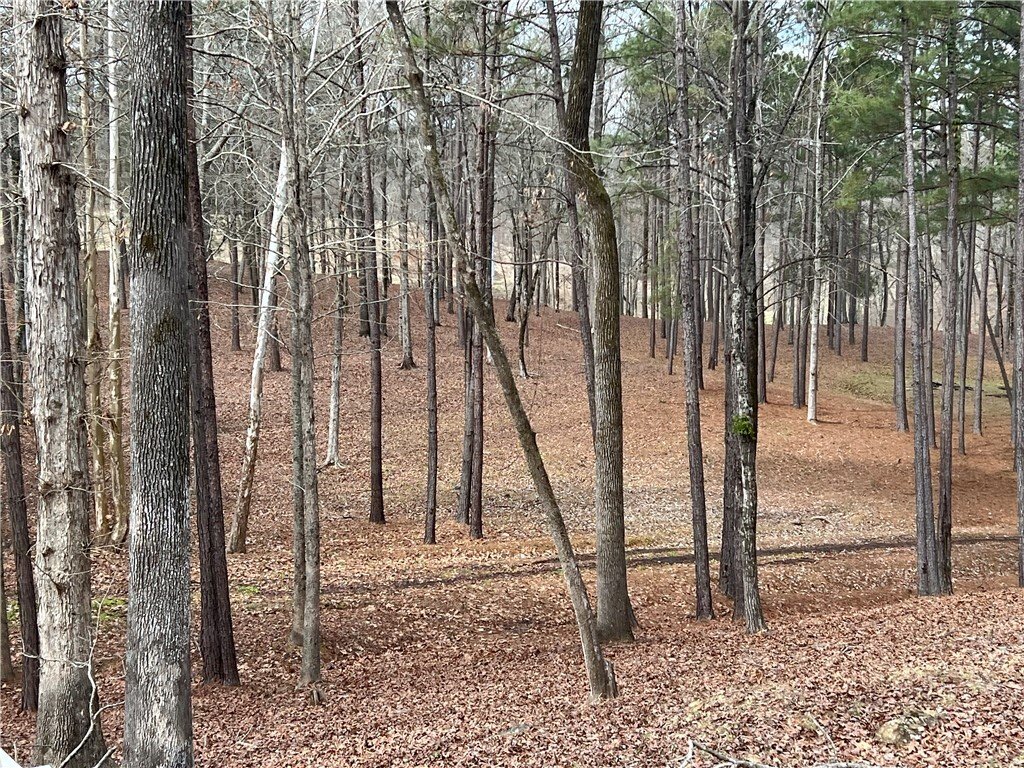 Land in Phenix City, Alabama, United States 3 - 17410996