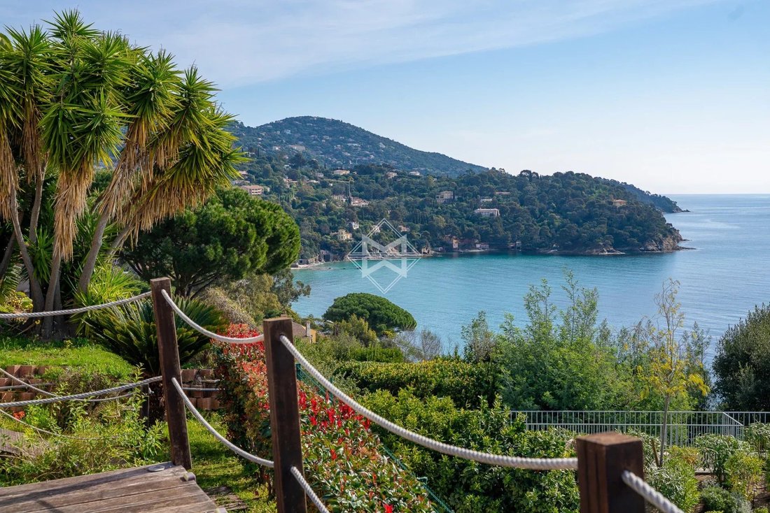 Villa in French Riviera, Provence-Alpes-Côte d'Azur, France 5 - 17408581