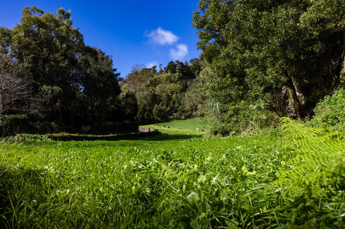 Land in Agua de Pau, Azores, Portugal 5 - 17421794
