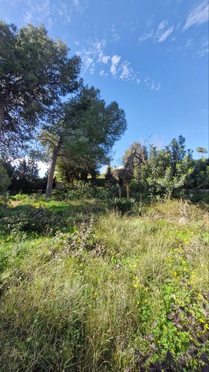 Land in Alfinac, Pucol, Valencian Community 4 - 17422221