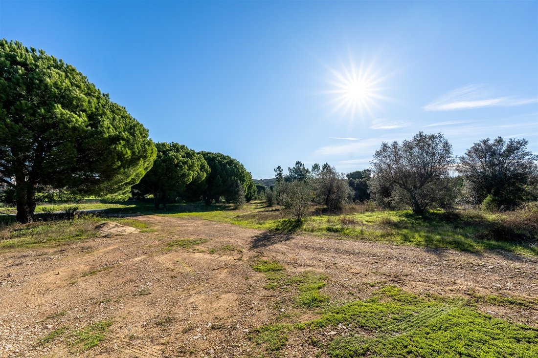 Land in Grandola e Santa Margarida da Serra, Setubal, Portugal 4 - 17422274