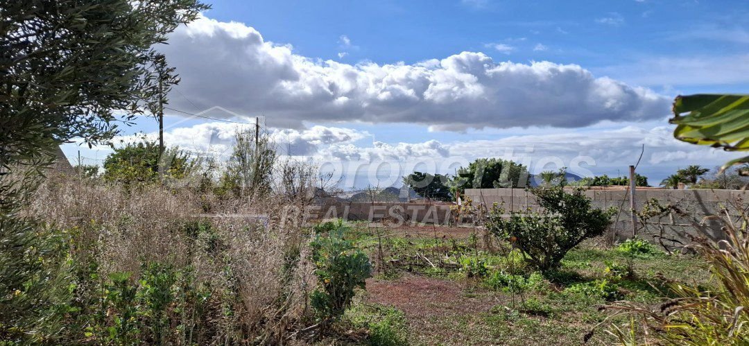 Estate in Arona, Canary Islands, Spain 5 - 17422224