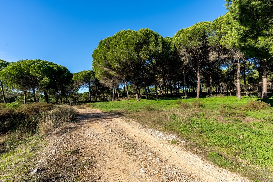 Land in Grandola e Santa Margarida da Serra, Setubal, Portugal 5 - 17422274