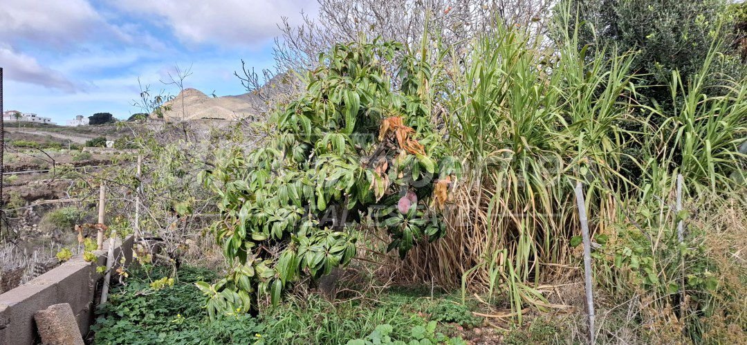 Estate in Arona, Canary Islands, Spain 3 - 17422224