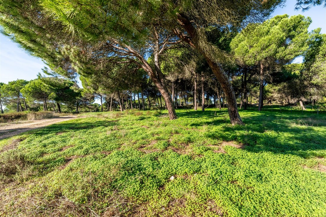 Land in Grandola e Santa Margarida da Serra, Setubal, Portugal 2 - 17422274