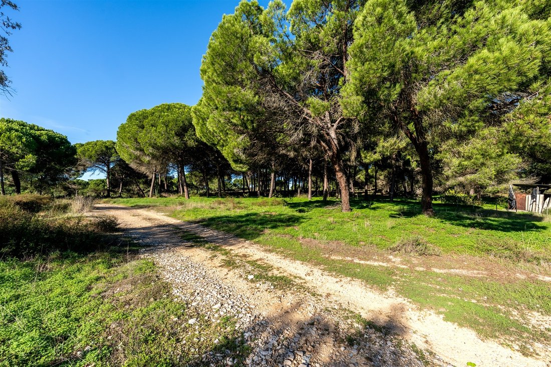 Land in Grandola e Santa Margarida da Serra, Setubal, Portugal 1 - 17422274