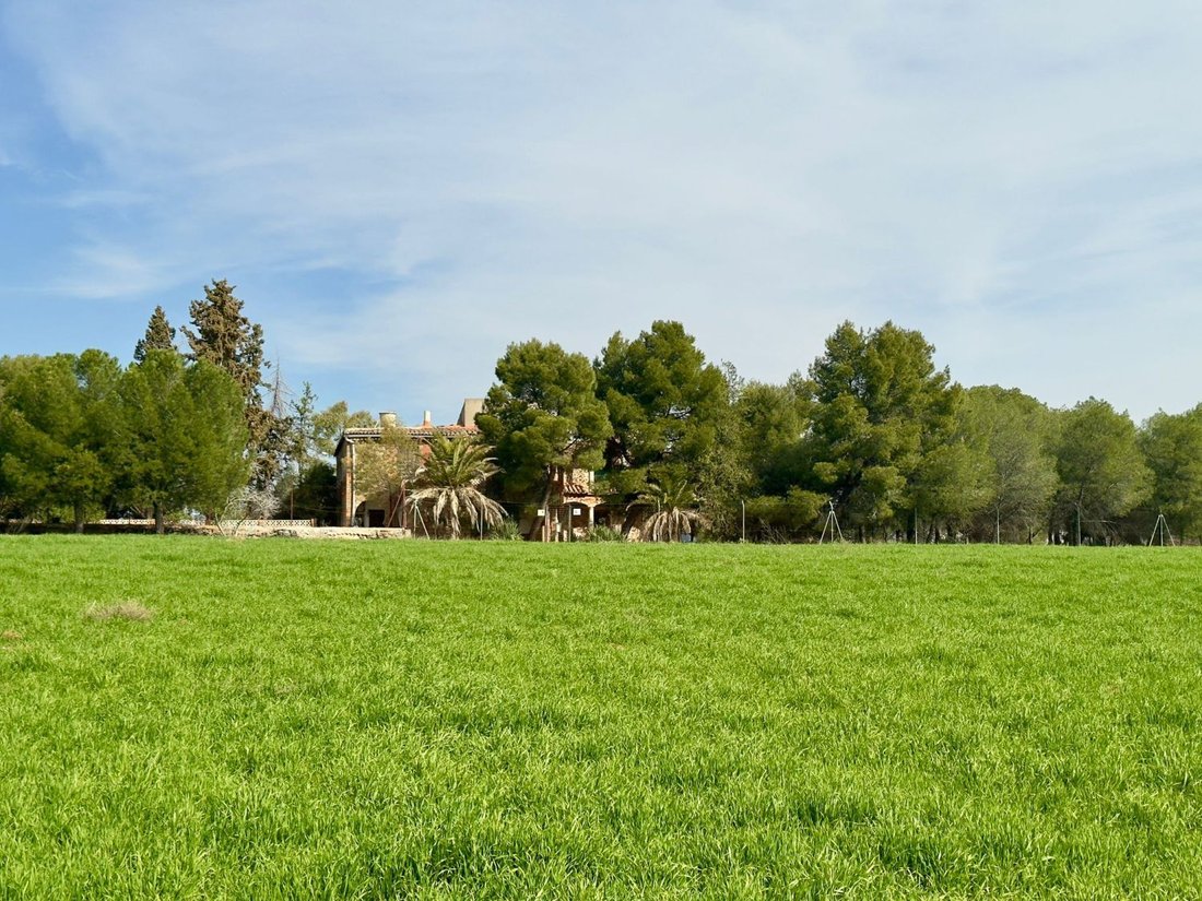 Farm Ranch in Torrenueva, Castile-La Mancha, Spain 2 - 17422226