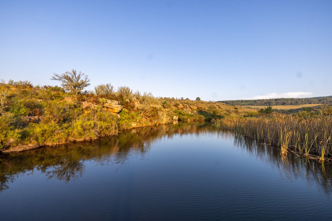 Estate in Mashishing, Mpumalanga, South Africa 5 - 17422512