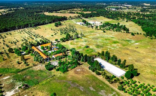 Finca à Canha, Setúbal Municipality, Portugal 1