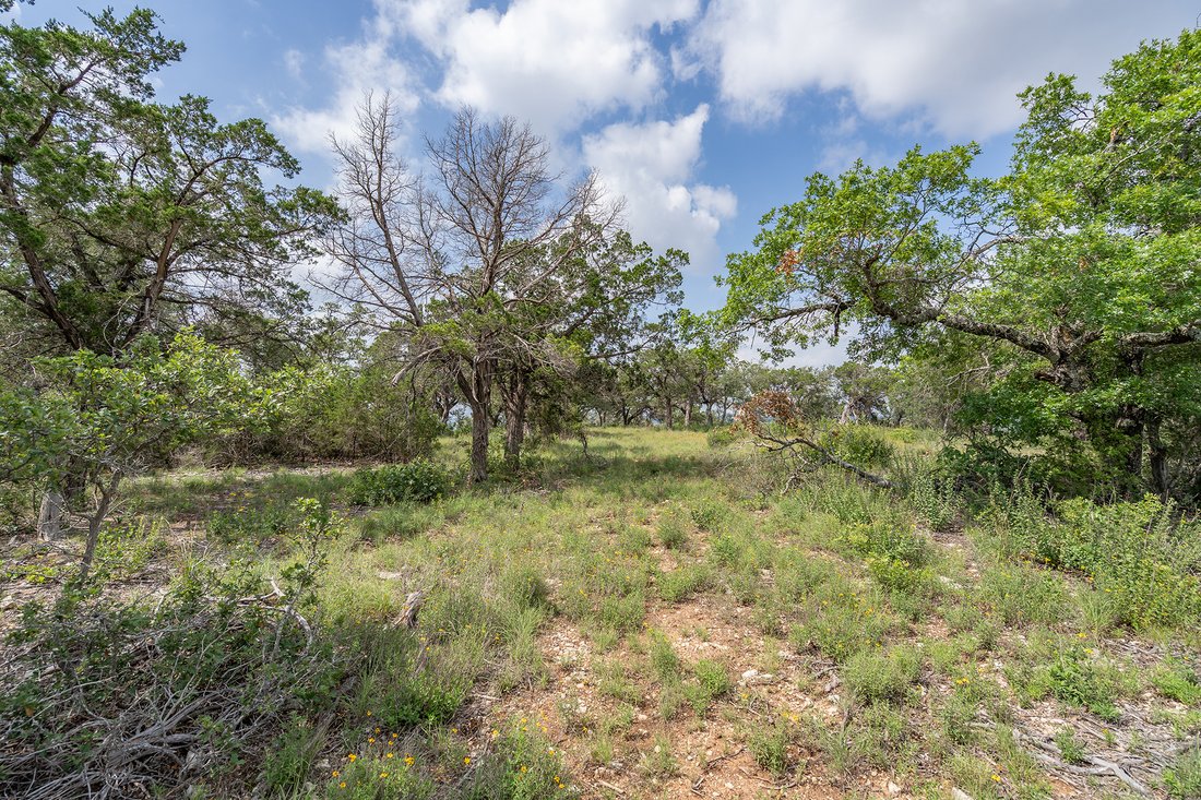 Land in Jonestown, Texas, United States 5 - 15963162