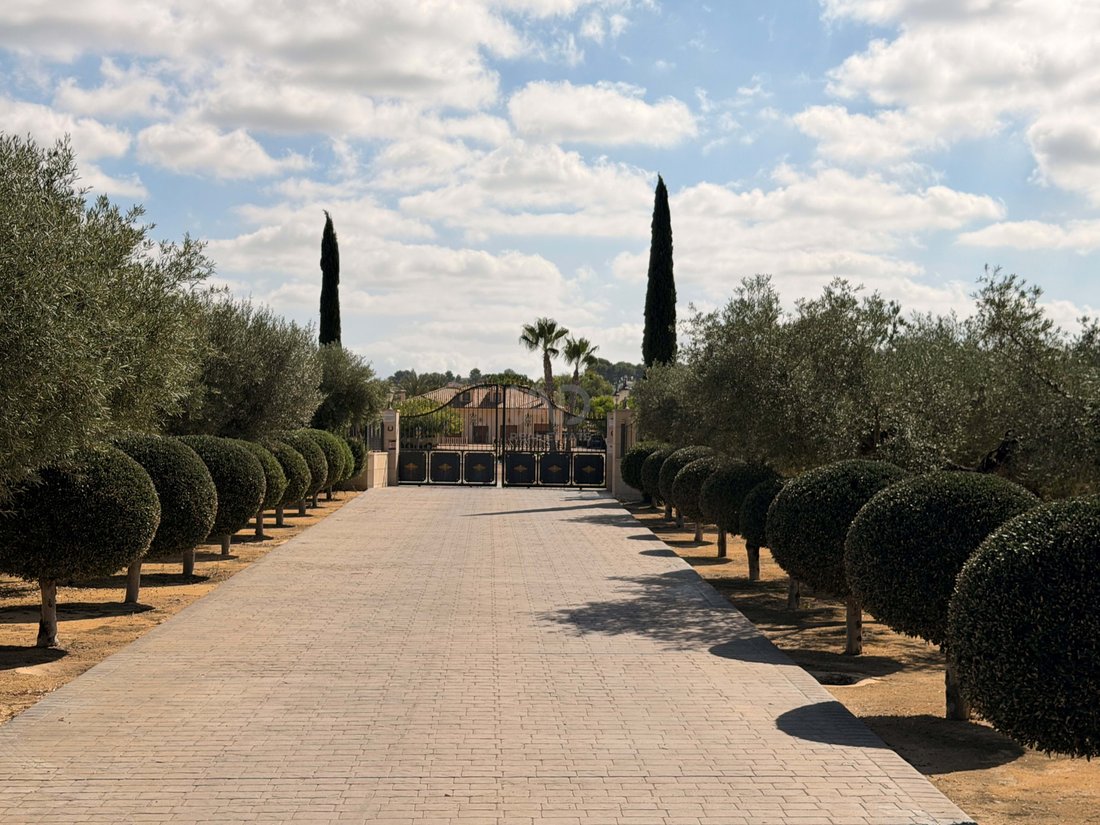 Villa in Aspe, Valencian Community, Spain 4 - 16187830