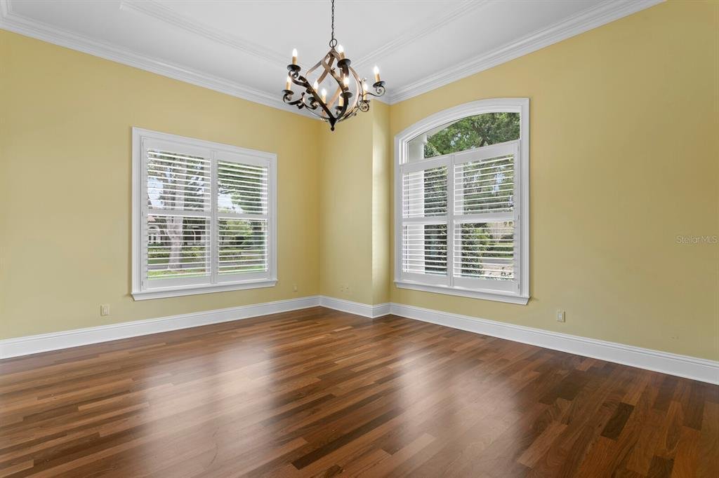 House in Tampa, Florida, United States 5 - 17424454
