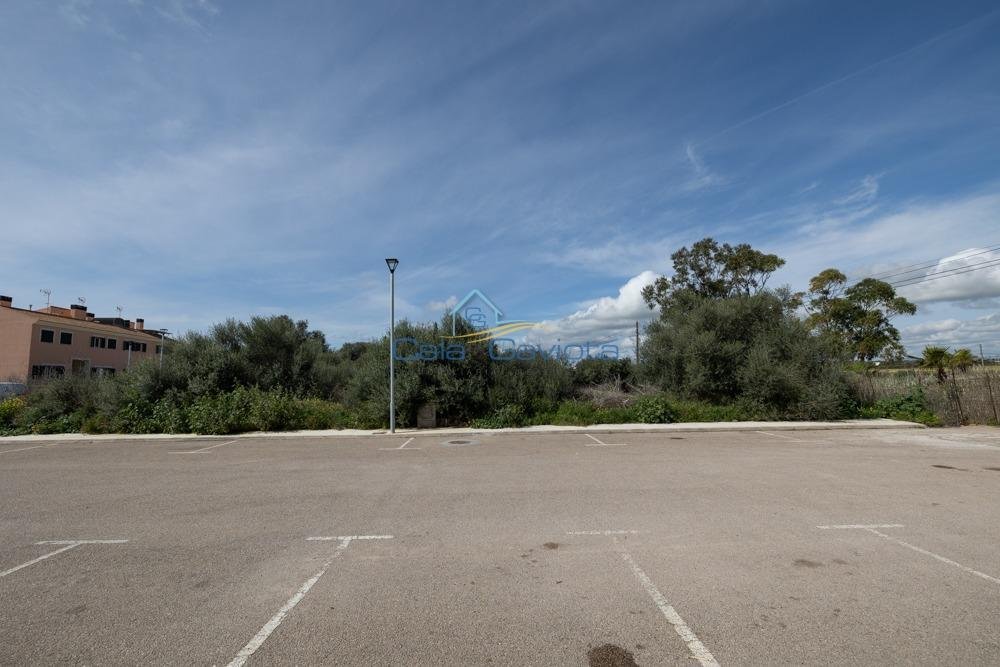 Land in ses Salines, Balearic Islands, Spain 5 - 17425017