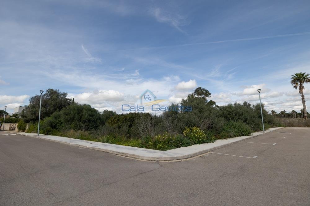 Land in ses Salines, Balearic Islands, Spain 1 - 17425017