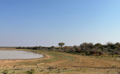 Farm Ranch in Vanwyksvlei, Northern Cape, South Africa 1