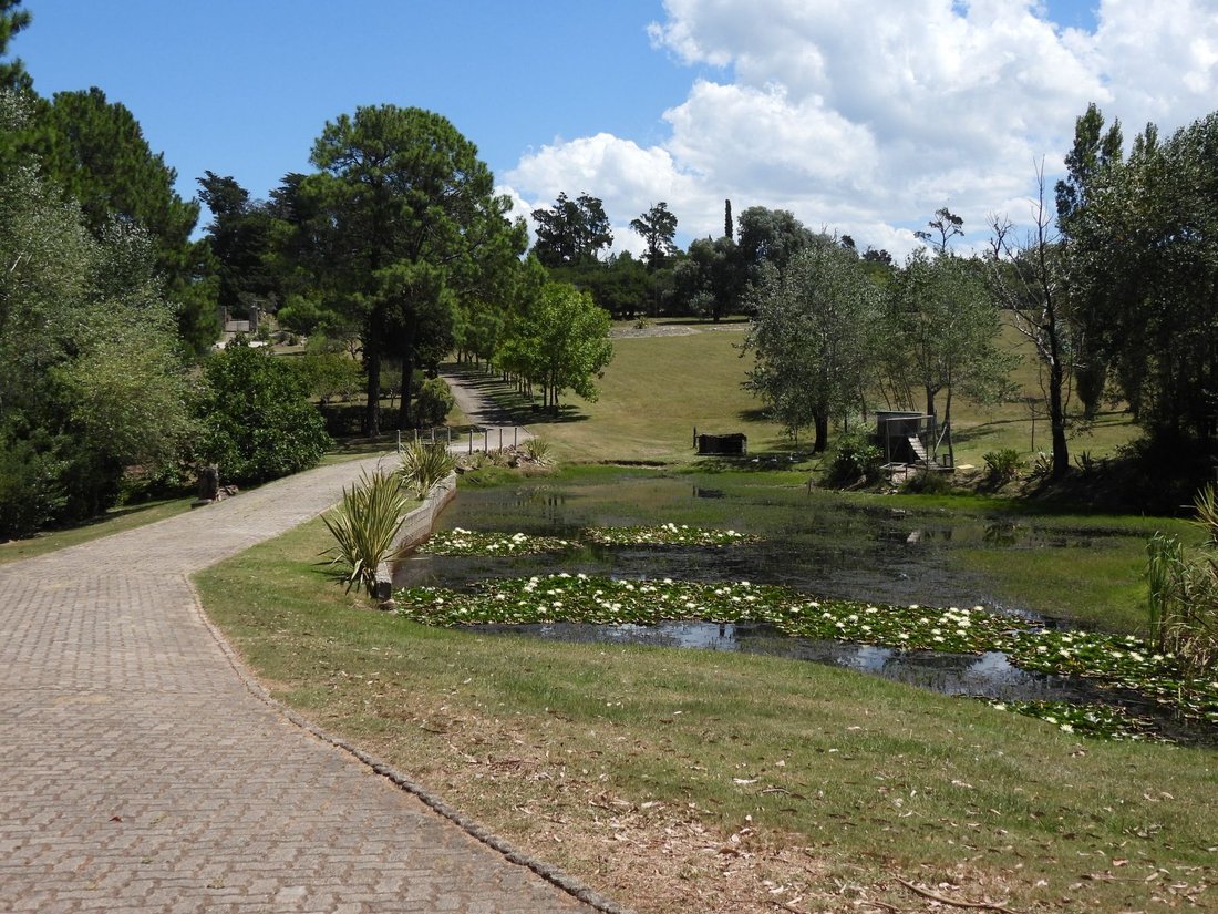Farm Ranch in Pan de Azucar, Maldonado Department, Uruguay 4 - 17424097