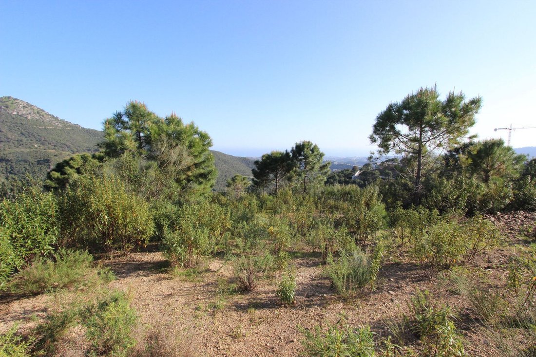 Land in Benahavis, Andalusia, Spain 1 - 17423836
