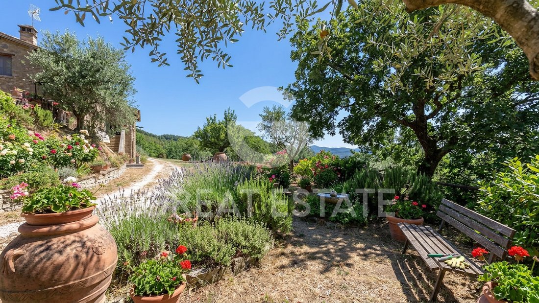 Estate in Assisi, Umbria, Italy 3 - 15998812