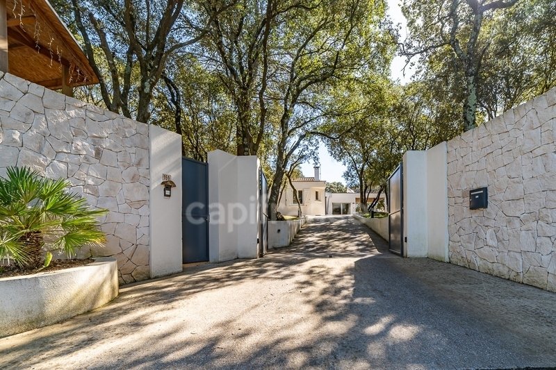 House in Saint-Jean-de-Cornies, Occitania, France 1 - 17425956