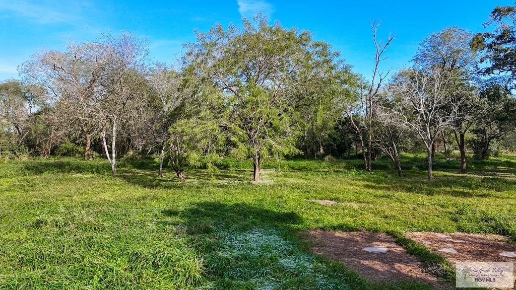 Land in Harlingen, Texas, United States 3 - 17425047