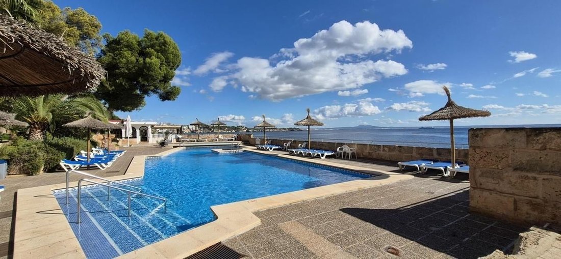 Apartment in Calvia, Balearic Islands, Spain 1 - 15933195