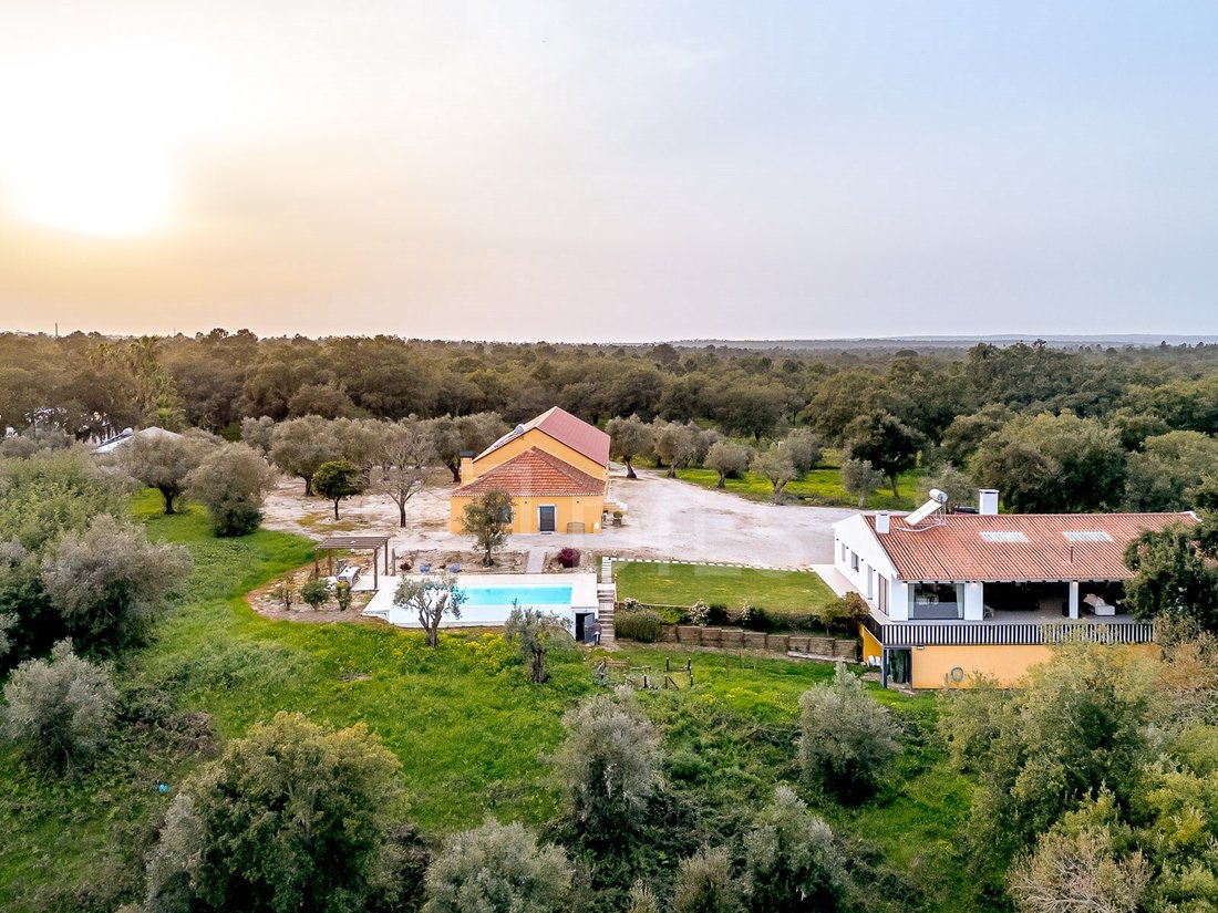 Finca a Azeitao (Sao Lourenco e Sao Simao), Setúbal Municipality, Portogallo 3 - 17425849
