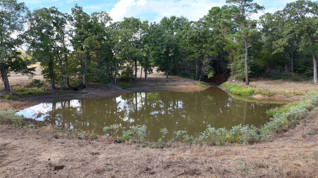 Farm Ranch in Bastrop, Texas, United States 3 - 16495340