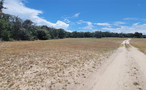 Farm Ranch in Davilla, Texas, Vereinigte Staaten 1