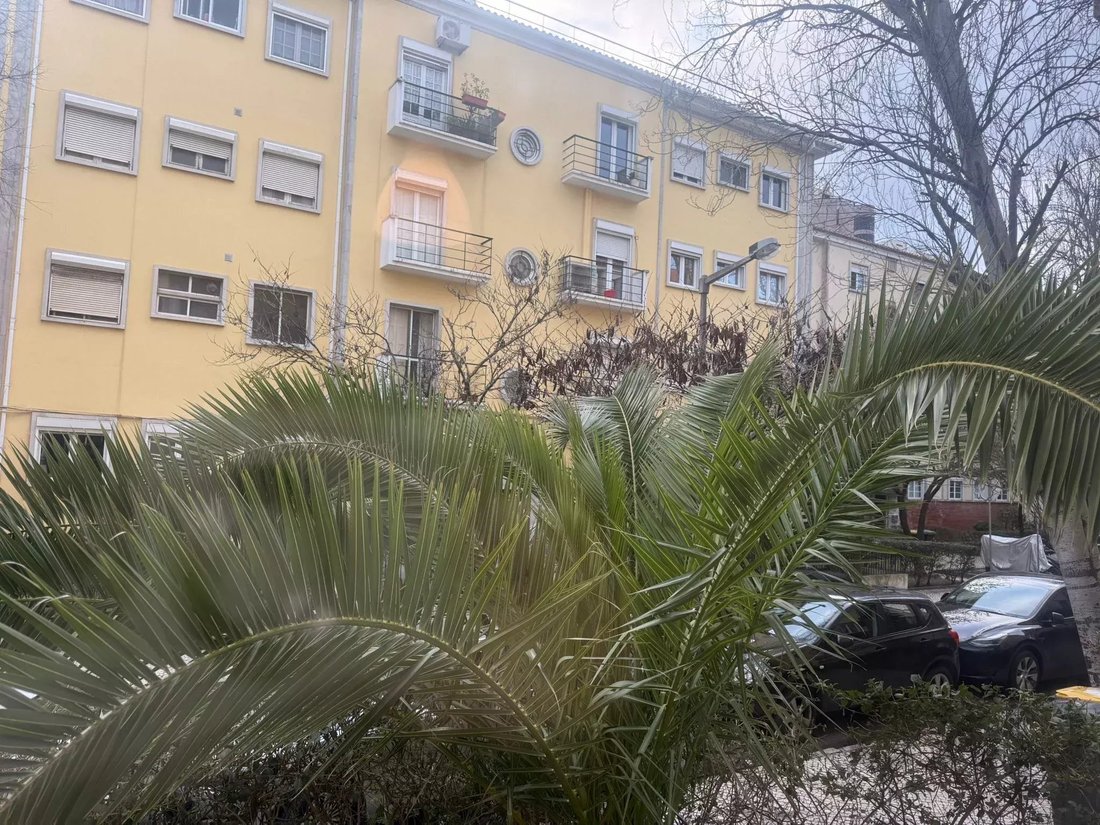 Apartment in Alvalade, Lisbon, Portugal 1 - 17423883