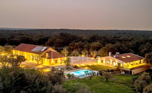 Finca in Azeitao (Sao Lourenco e Sao Simao), Setubal, Portugal 1