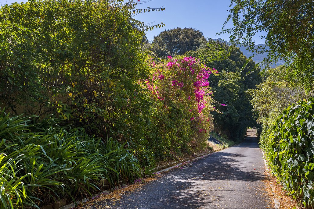 House in Witteboomen, Silverhurst, Cape Town 3 - 17426530