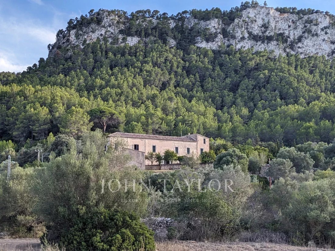 Estate in Puigpunyent, Balearic Islands, Spain 1 - 17426858